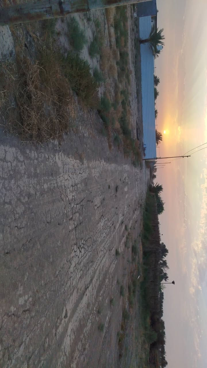طابو زراعي • سند ٢٥ • ١٣٥٠م