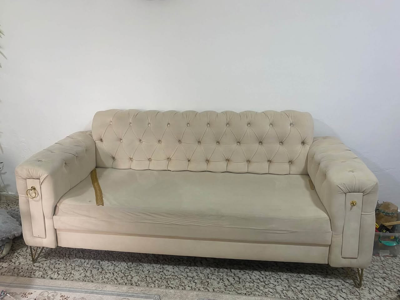 قنفات • نظيف • ١٠ نفرات