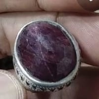 ابيع كلمن بسعره الكل للبيع تريد شلعة تريد كلمن وسعره