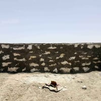شغل حجر • حسب الطلب • يومية