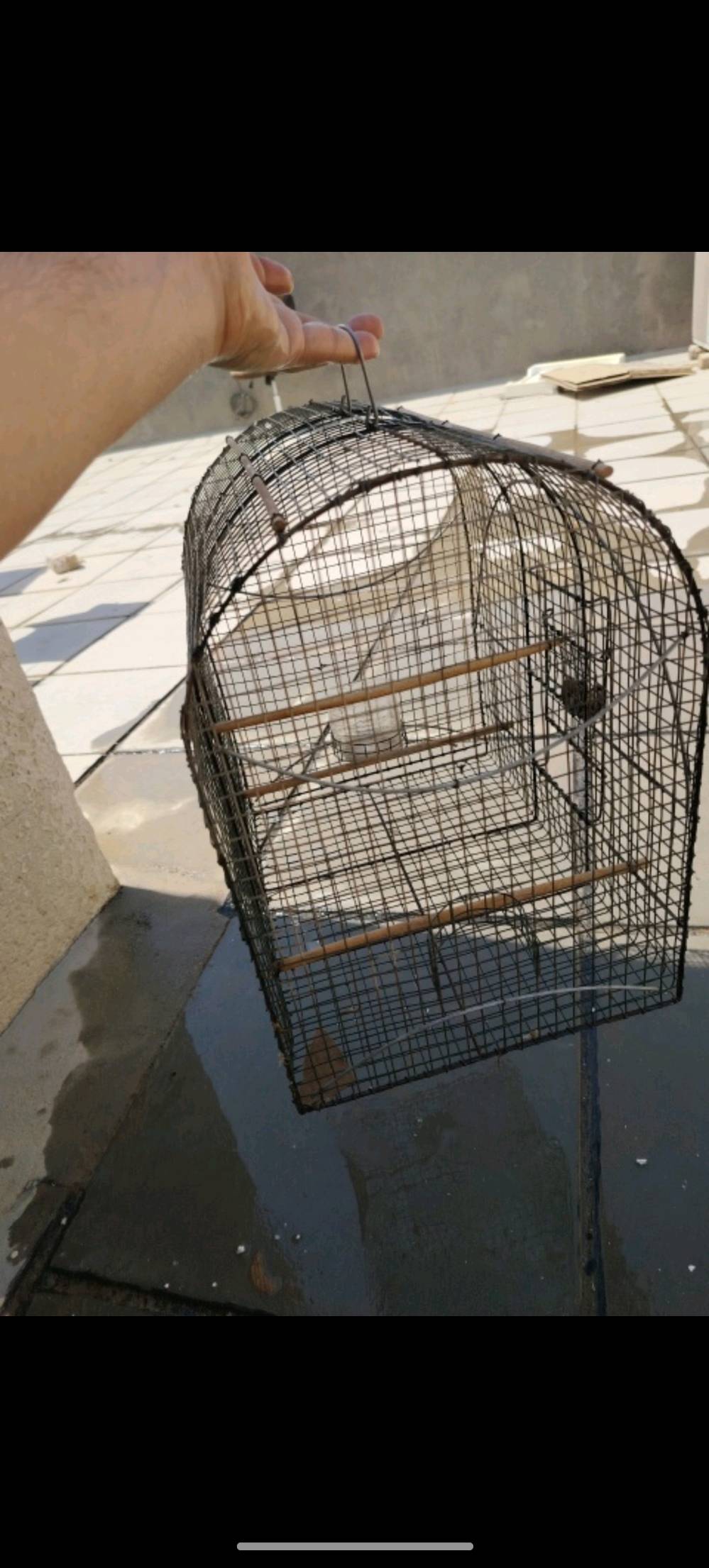 ناصرية مركز  ناصرية مركز ***********