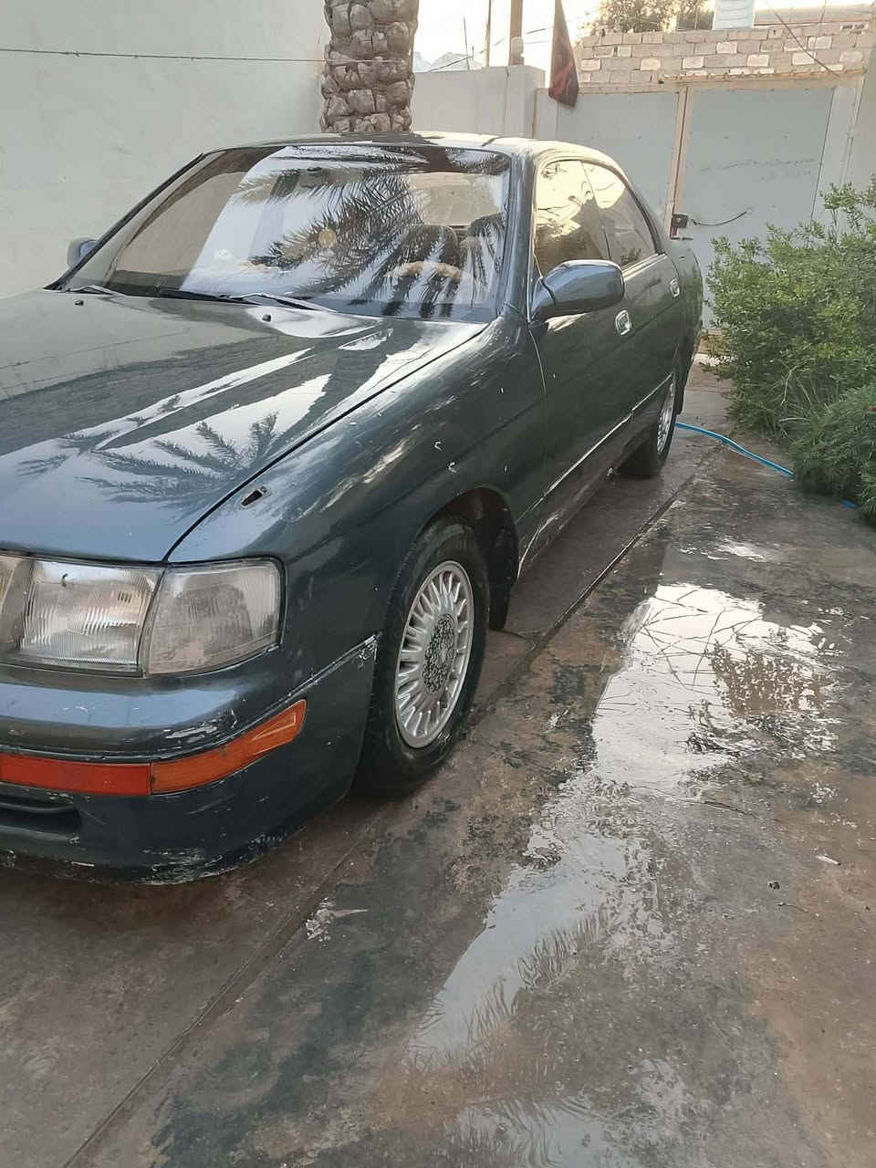 السلام عليكم بطه موديل 95 السياره حلوه وكير ومحرك خير من الله للبيع او مراوس بسياره نفس السعر تقريبا
للاستفسار ***********
