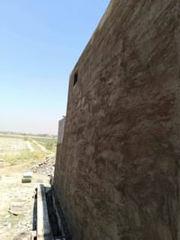لبخ متفرق • سقل ناعم • القزاليه