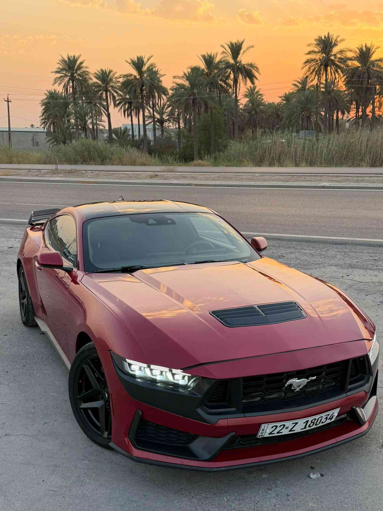 موستانغ ايكو • ٢٠٢٤ • ٢٠٠٠٠ ميل