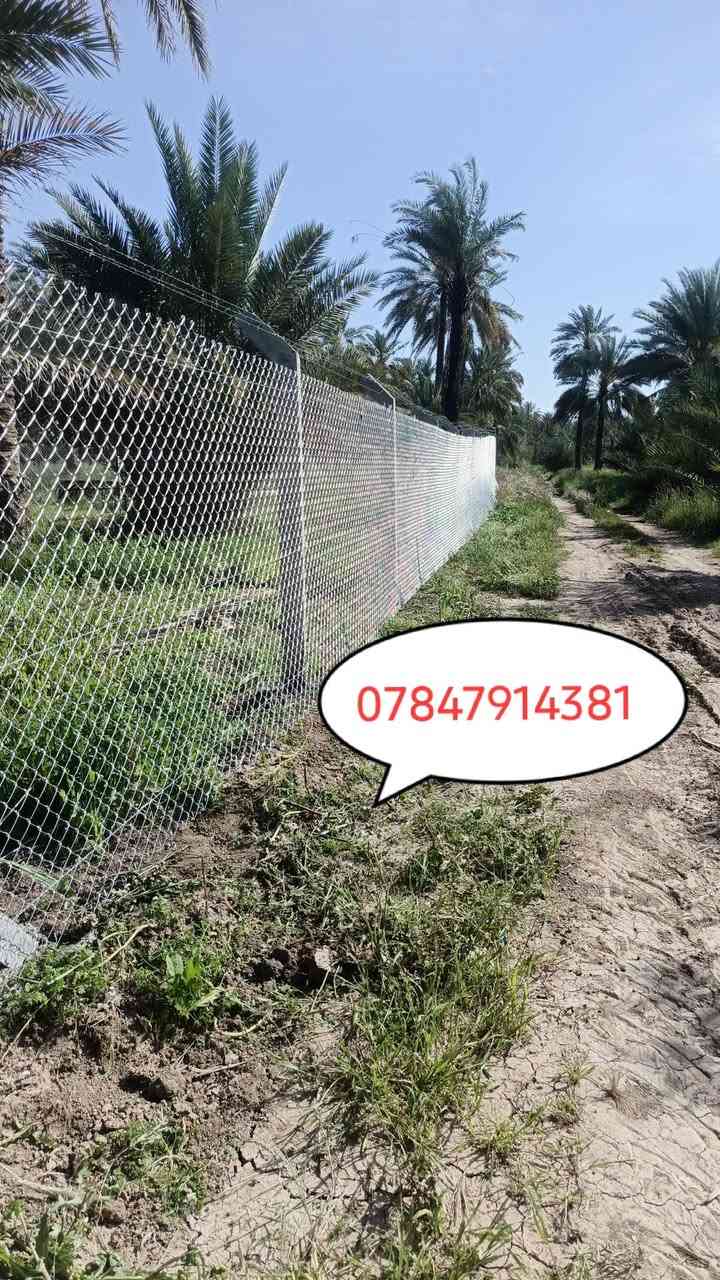 أسيجة Brc • تركيب مباني حكومية • 24 ساعة
