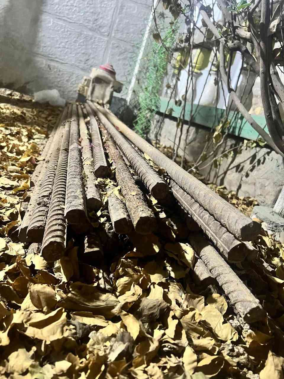 شيش ابو انج طول مترين العدد85+خشب طول مترين عدد15.
رقم ***********
