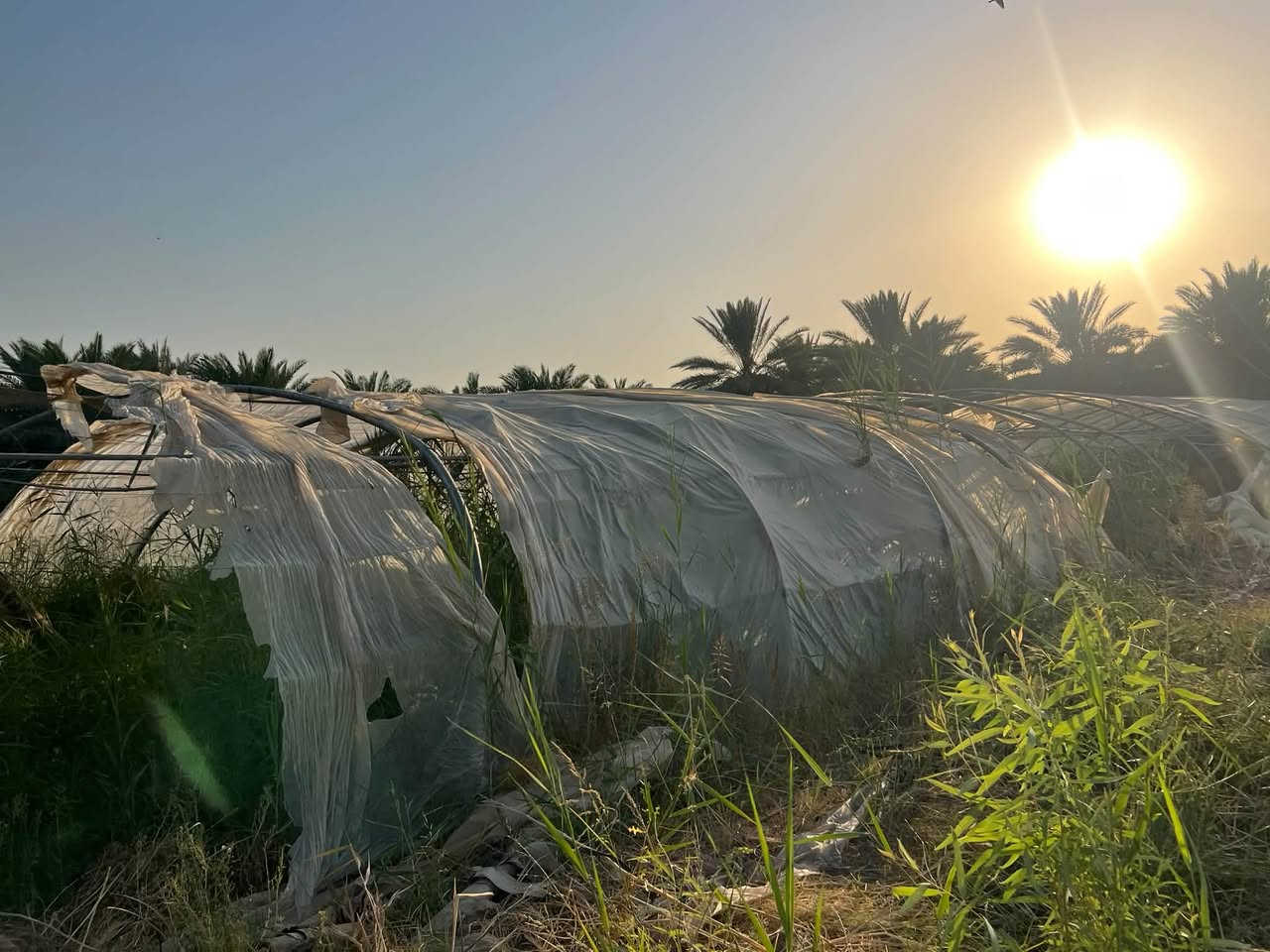 السلام عليكم بيت زجاجي للبيع 24 قوس بيبان ثنين موجودات ويا مفصح كامل جيب سيارة تحمل وتاخذ 

مكان واسط قضاء الصويرة شارع المطار 
اتصال/*********** 
سعر مليون
