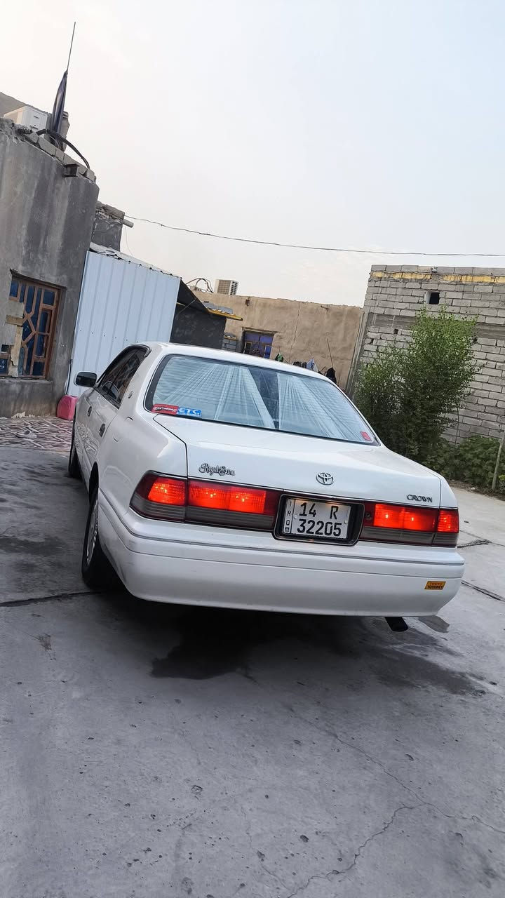 ابيض صدفي • رقم بصره • تبريد ثلج