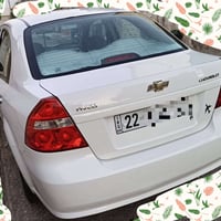 افيو ٢٠٠٨ • سنوية لحد ٢٠٢٩ • تبريد ثلج