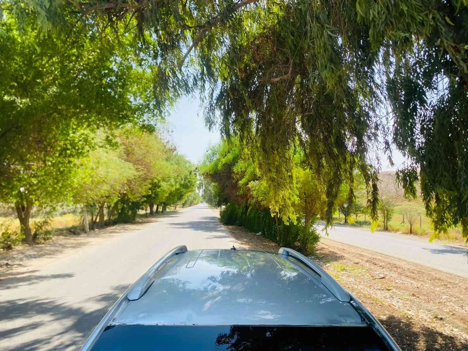 ٢٠١١ • ٦ سلندر • رقم بغداد