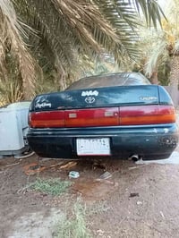 بطة كراون • ١٩٩١ • الديوانية