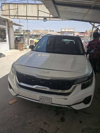 سيلتوز • ٢٠٢٣ • وارد امريكي