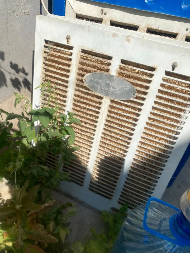 مبردات عدد ٢ سعرهن ٦٠ الف حجم ٢ ونص شغالات كل عيب مابيهن
بنكات سقفيه عدد ٣ البيض الوحده ب ١٥ والصاجيه ب٢٠
سبلت كامل شغال بدون عيبنوعيه جنرال طن ونص سعره ٢٠٠
اوفن تسخين الاكل ب ٣٠
مستعجل ع البيع الشراي يجي يحمل ويمشي 
تواصل واتس ***********
