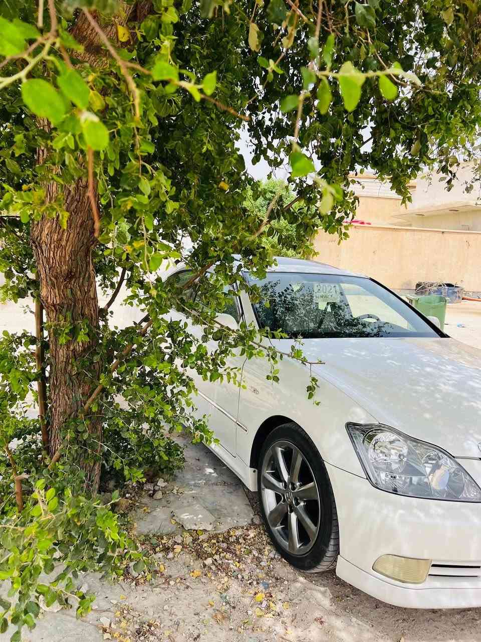 سلام عليكم للبيع شاهينه 2005 رقم بصرة باسمي مزاد تحويل ثاني يوم مكفوله كفاله عامه بالعراق شاصي 80السياره جديده بمعنئ الكلمه ماشيه 134 الف حداديه جديده تخم تاير تبريد جاهزه مانقصها برغي السعر 137وبيه مجال الاستفسار ‏‪***********‬‏ مكاني البصرة
