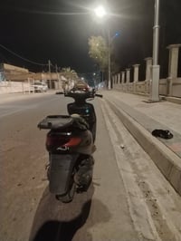 فراشة • فحل • دسك