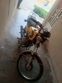 تايجر • ٢٠١٩ • ٢٠٠