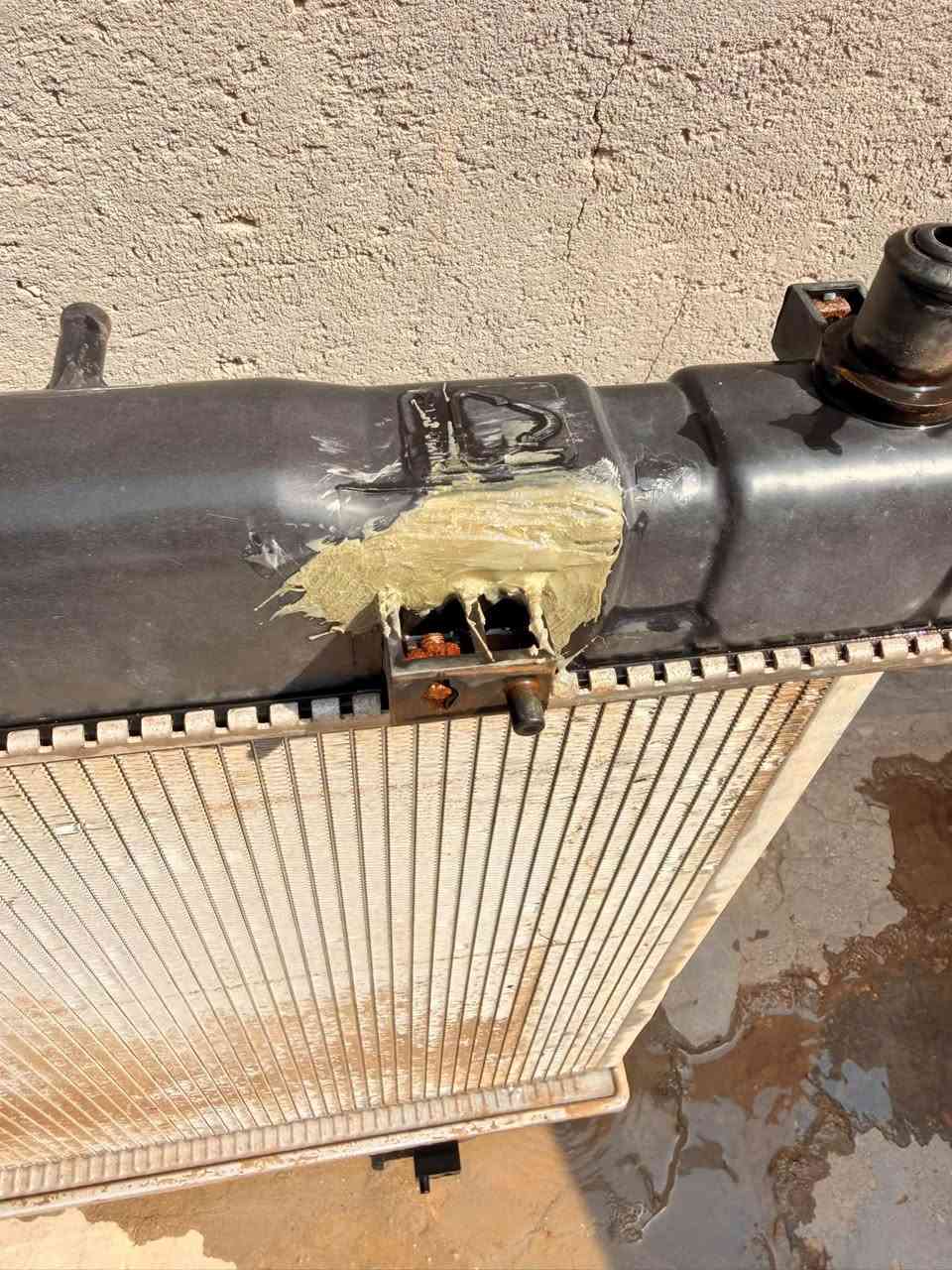 راديتر فوتون • باص C2 • فطر بالقزان