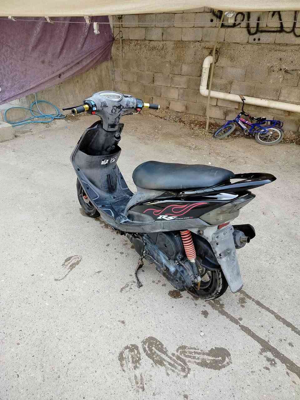 ماكس عدلة • كاملة • بوشة بلادية ٤٩
