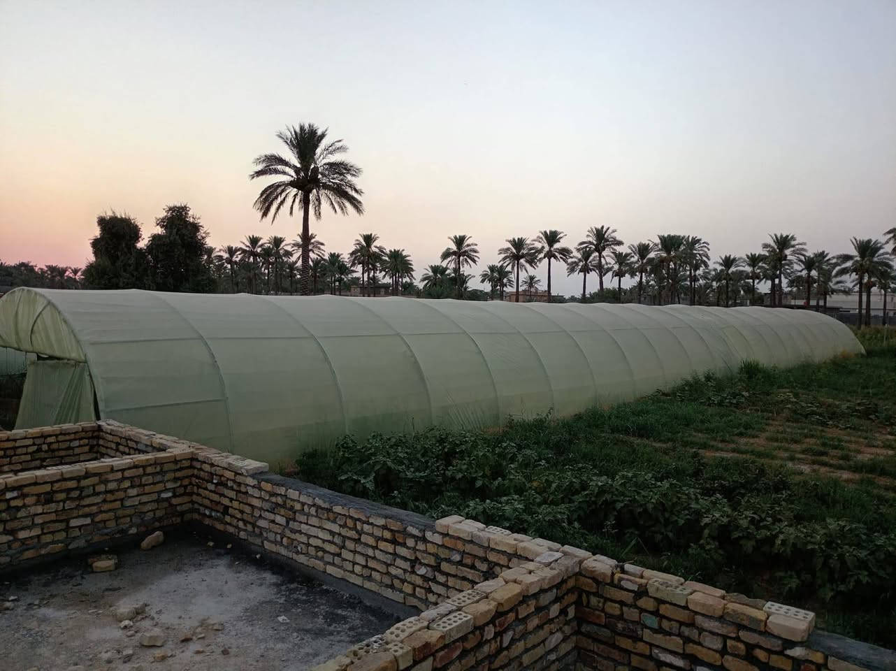 بيت بلاستيكي الطول ٥٦ والعرض ٩ اردني مغلون للبيع السعر مليونين ونص التاجي المشاهدة ***********
***********
