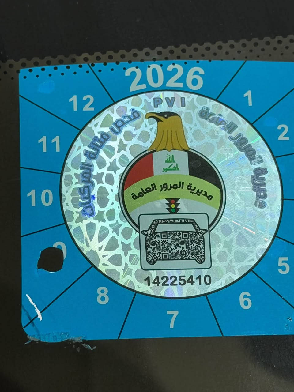 جيلي باندا • مكفولة • تبريد ثلج