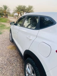 توسان امريكي • ٢٠٢٠ • تبريد ثلج