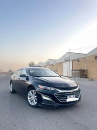 ماليبو • ٢٠٢٥ • معوقين