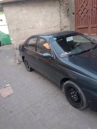 كراون • البو خصيب • مصبوغه جماليه