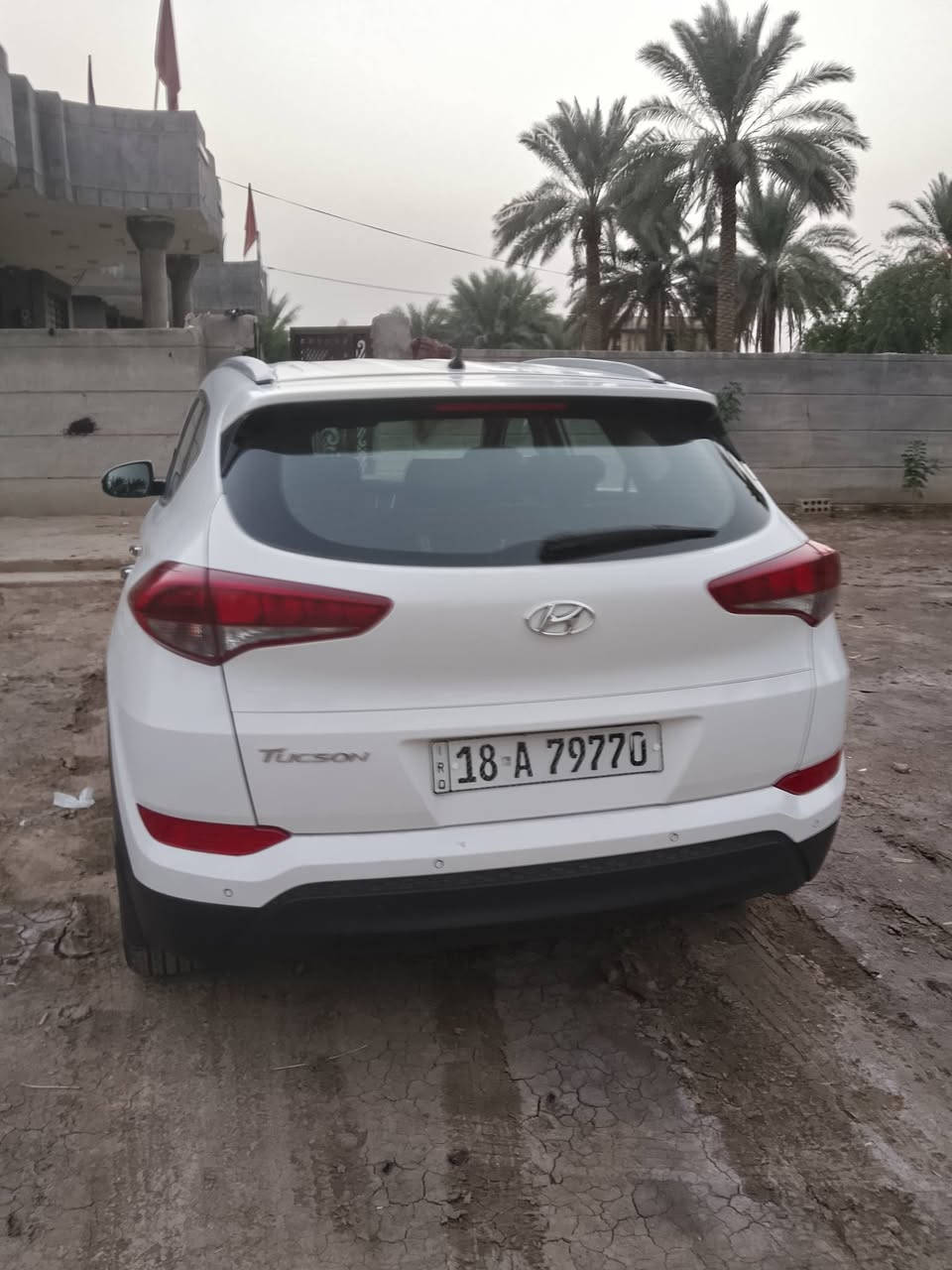 توسان • ٢٠١٧ • مكفولة