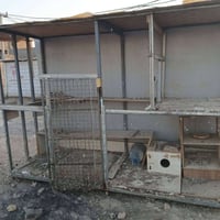 اغراض للبيع اسال واجاوبك على السعر مكاني بغداد حي الجهاد 07709437474