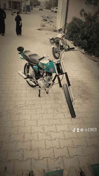 نتنس • سكنر • اوراق