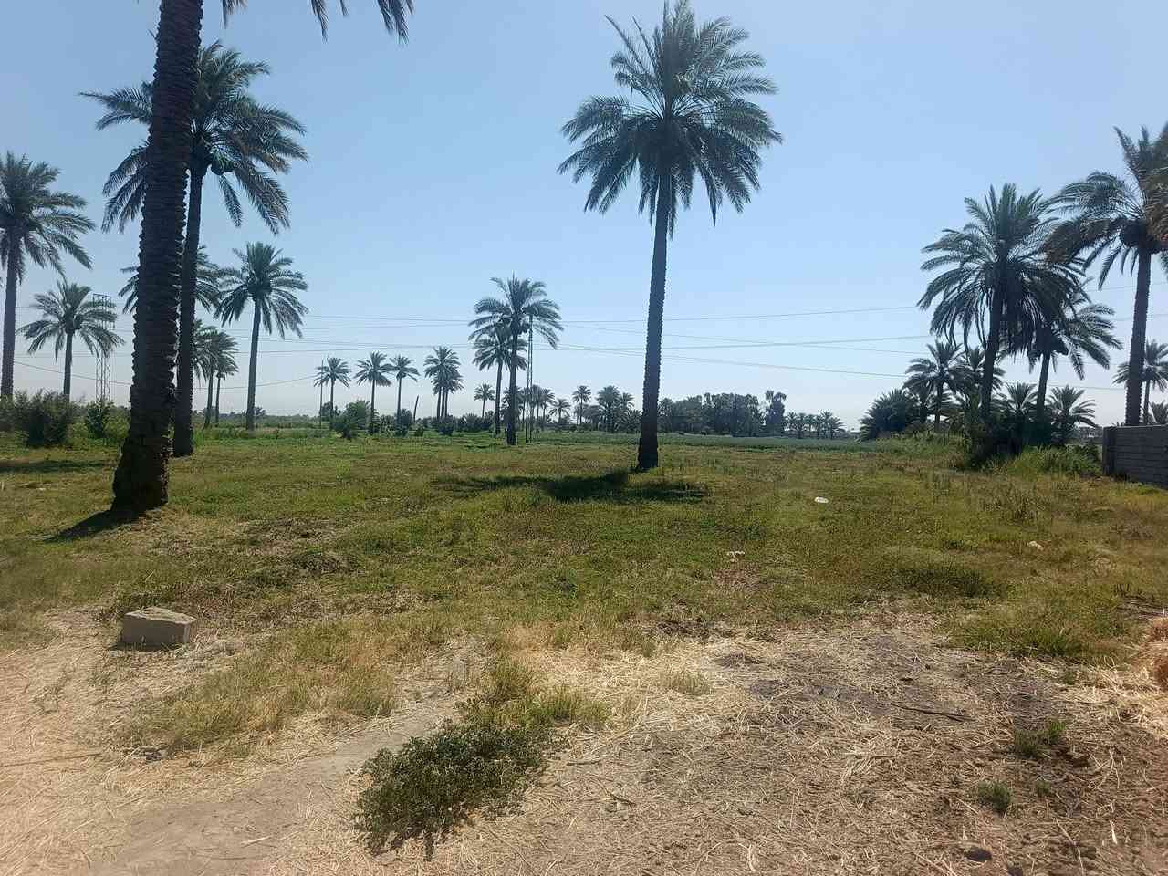 أرض زراعية ٥دونم  طابو زراعي معه دار سكني ٤٠٠ واجه شارع ٢٢ متر شارع العام حله بغداد معه بستان نخيل وحمضيات كهرباء وماء وماء للسقي للاستفسار بابل محاويل شارع حله بغداد مقابل محطه وقود التفاحه ***********/
***********
