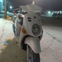 فله • كفاله • زينون