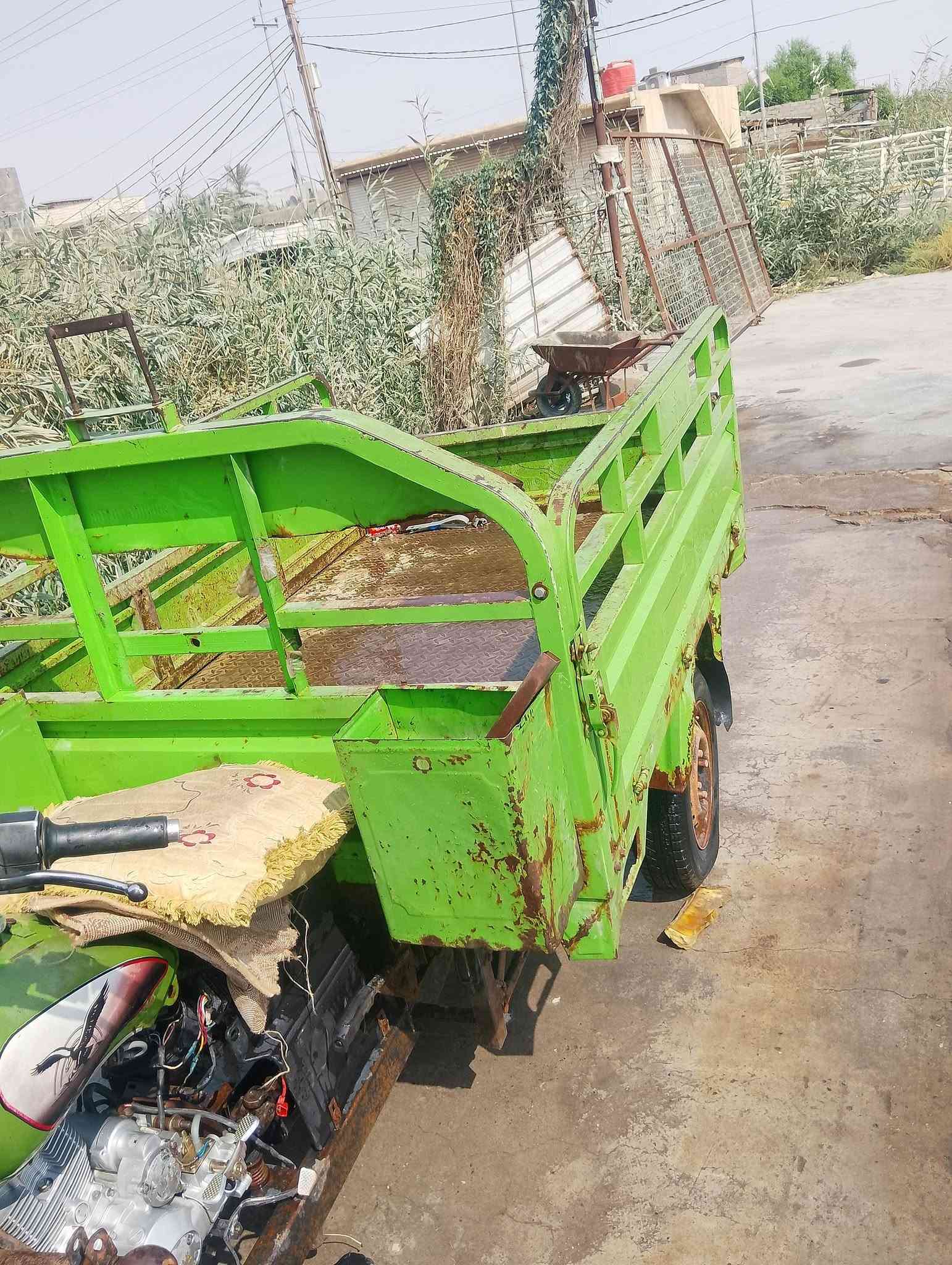 ستوته • موديل ١٩ • تنومه جباسي