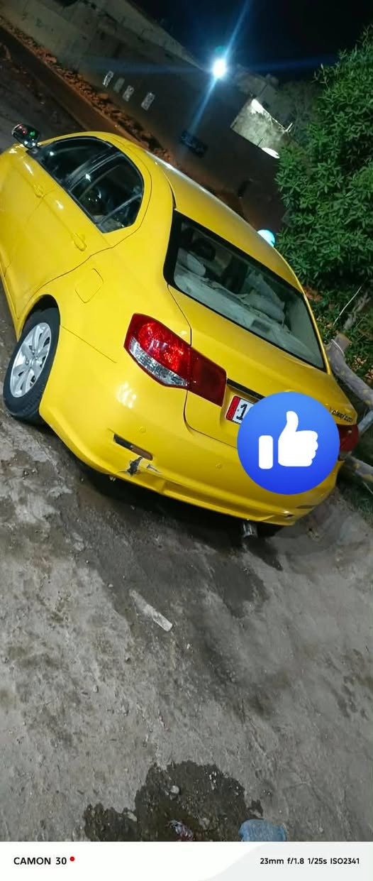 ٢٠١٣ • رقم بابل • صبغ عام
