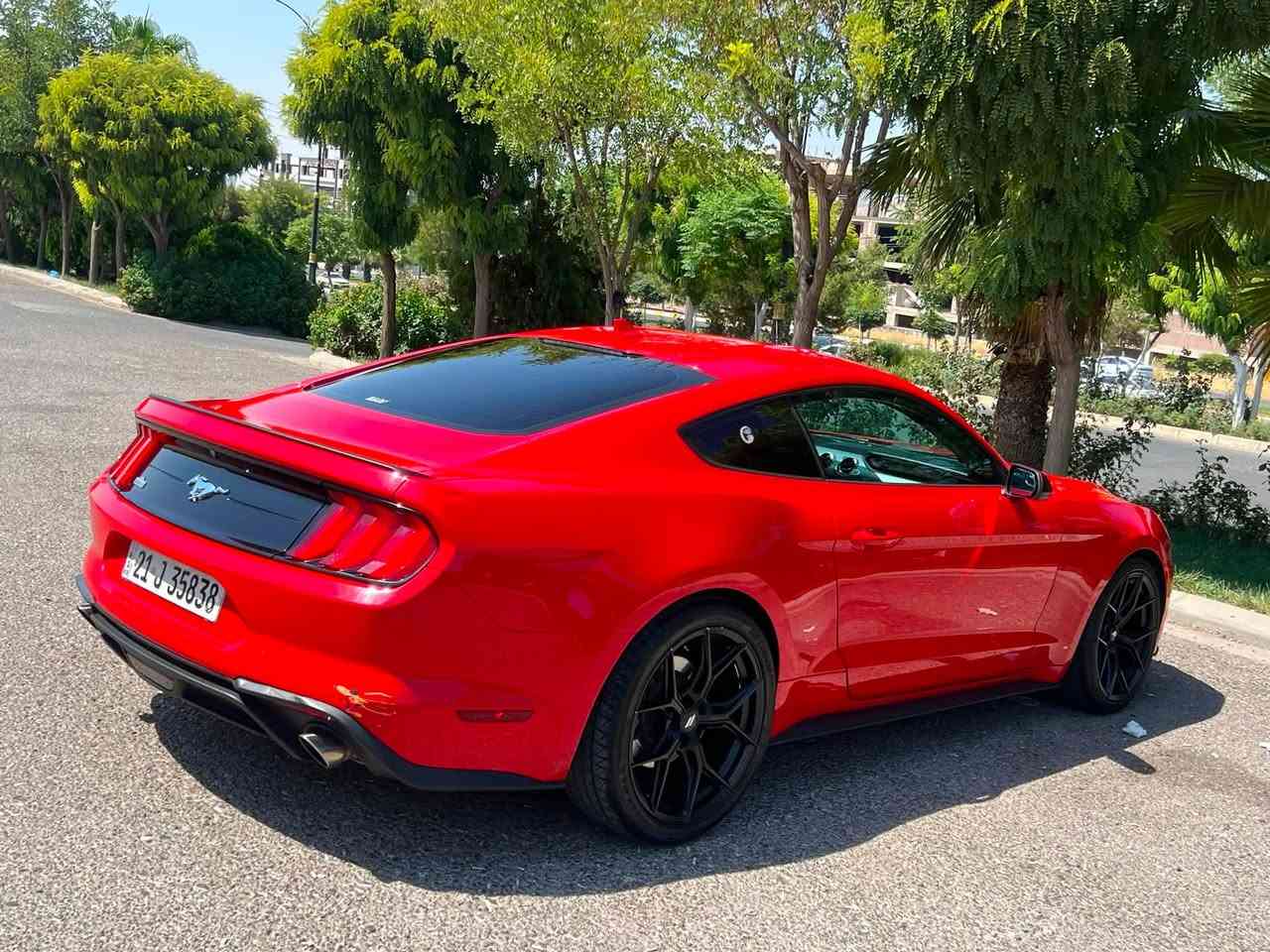 Ford mustang 2020 ecobost
فورد موستنك 2020 ايكو بوست 
لون احمر ❤️
*********** واتس 
سعر 135 بيها مجال بسيط
سنوية و هزه رقم جديد 
ماشي 79 مايل
بيها صبغ 1 جملغ باقي كفاله 
صور حادث موجد
رقم شاصي
1FA6P8TH3L5158562
مواصفات احتيادي موستنك
تشغيل عن بعد
شاشة +كار بلي +كاميره دواره
شفتات كير وره السترين تحكمات كامل
ويل توو سايز تايرات جدد
شاشة سنك 3 
كشنات كهربائي 
مودات 6 ايكو سبورت 
تبريد ثلج 
كير ومكينة شرط
السيارة مسويلهة ادامة كامل ما تصرف عليهة اي شي
السعر135وبيه مجال بسيط للشراي
*********** واتس
