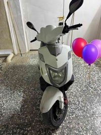 بيجو ايطالي • وارد حاويه • حديث