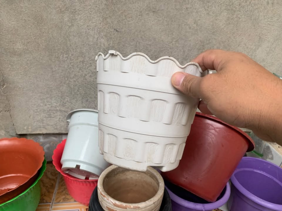 قفص • أرفف خشب • سنادين