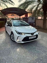 خط المحاويل • مواصلات • كليات بابل