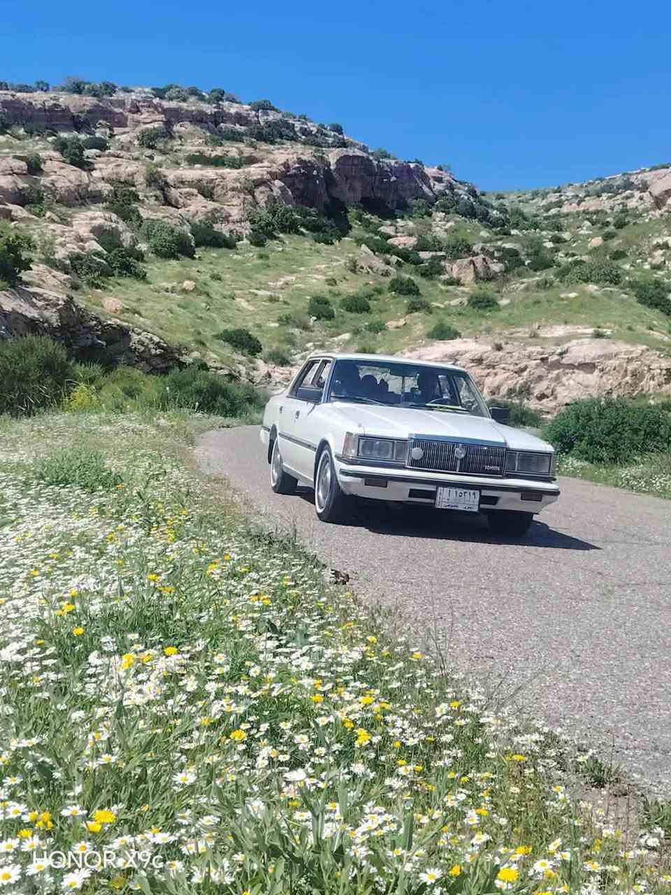 سوبر ١٩٨٢ • بدون نواقص • رقم نينوى