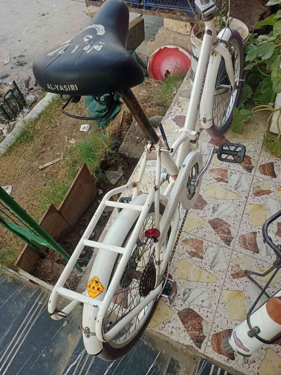 بايسكل • ياباني • فيه مجال
