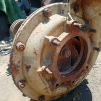 خنزيرة • جديدة • ما مفتوحة