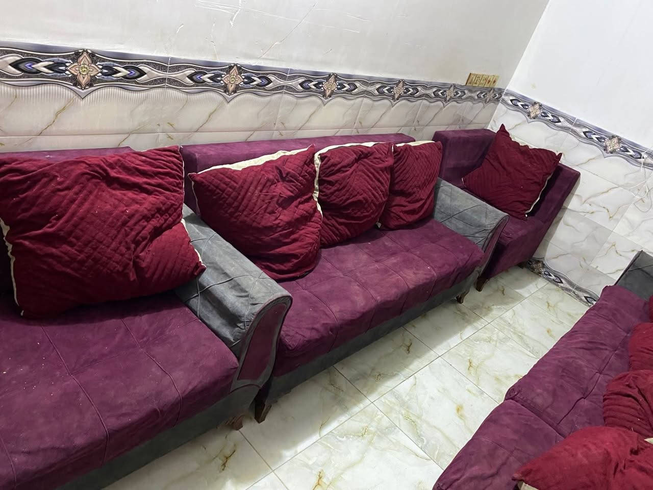 تخم ديوان للبيع 5 قطع 10 نفرات سعره 140 مكانه نجف حي ميسان مقابيل العسكري *********** بيه وتساب النجف, العراق
