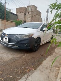 كروز • ٢٠١٩ • رقم كربلاء