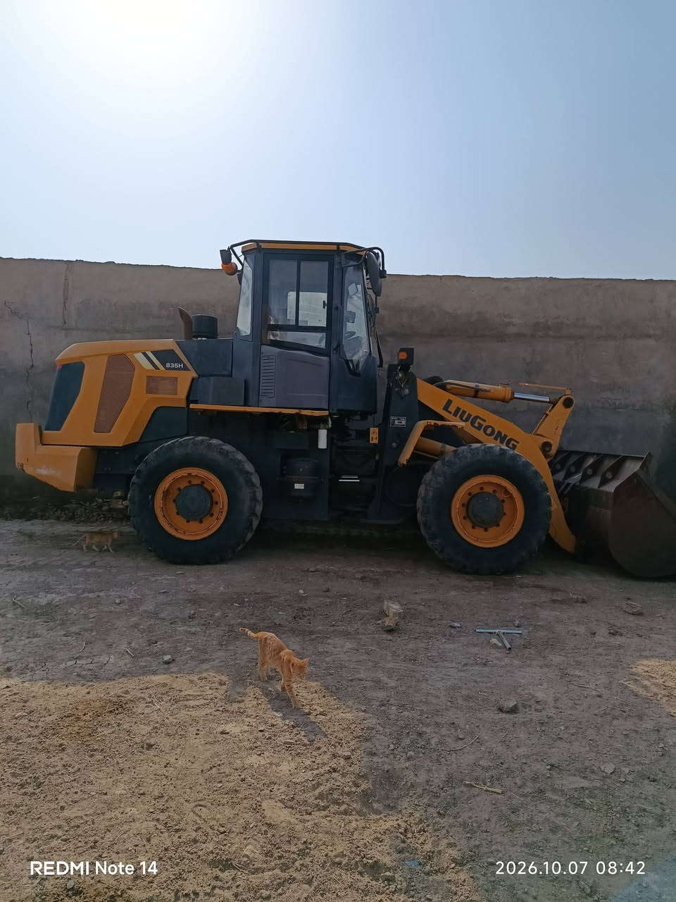 شفل • قياس٣٦