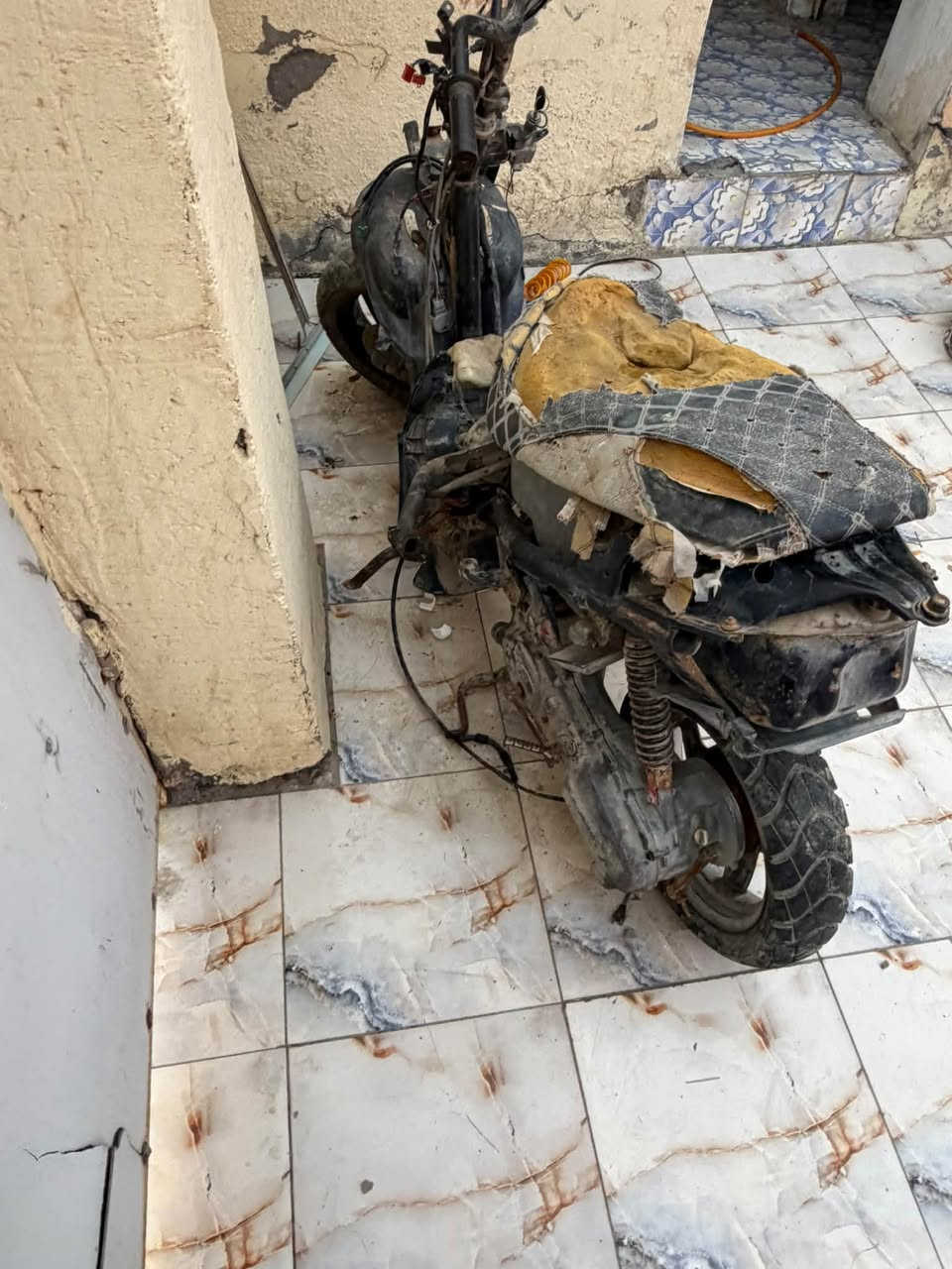 دراجه دولفين كامله عوزه بس كلجات شتريد ابيعلك او تشتري دراجه كامله
