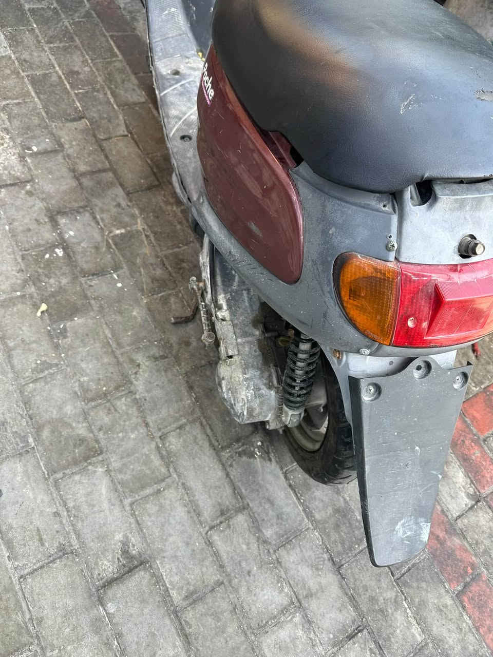 منغولي للبيع سلف هندر شغاله خير من الله شفت عينك 
السعر 375الف مستعجل 
***********كربللاء مكاني
