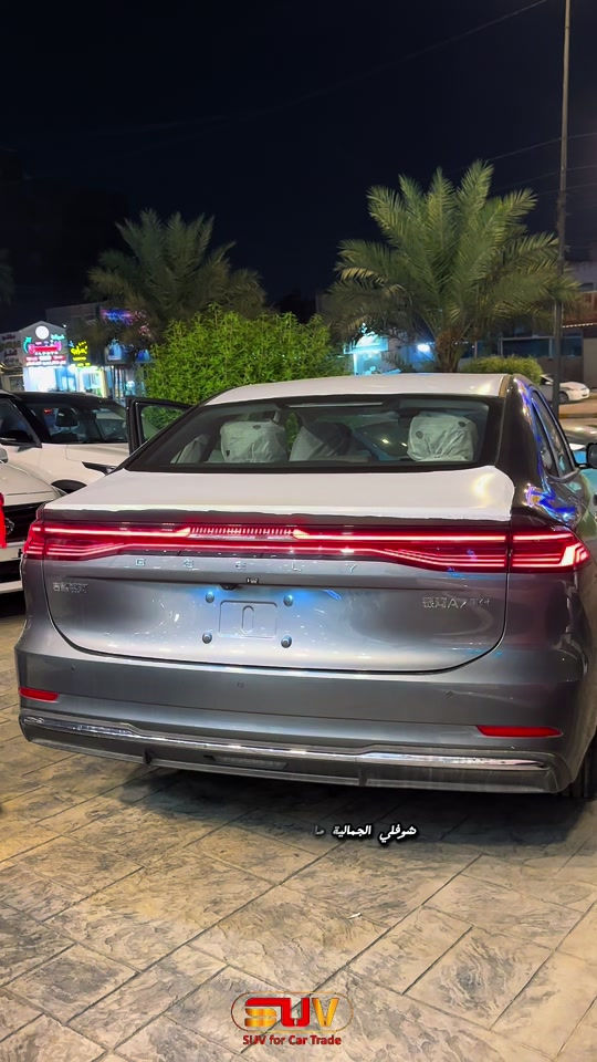جيلي • ٢٠٢٦ • زيونة
