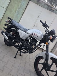 دايون نفخ • ٢٠١٩ • اوراق اصلية