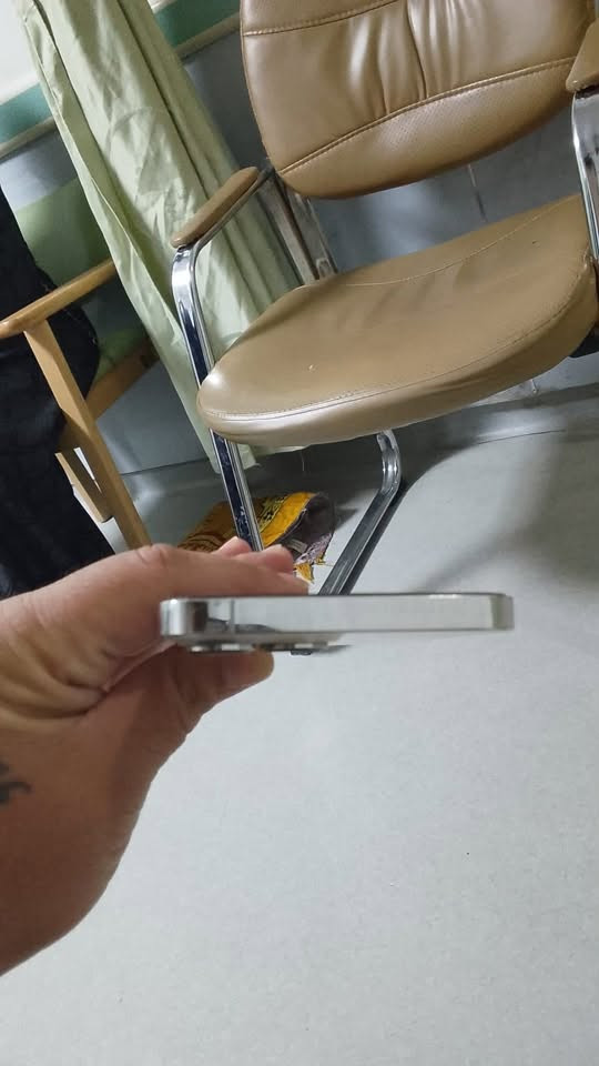 ايفون ١٣ برو ماكس ذاكره ٥١٢ بطاريه ٨١ مستعجل ع بيعته ٧٥٠ بي مجال نضيف جدا جدا ***********
