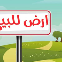 ٥٠ دونم • أميرية • طريق موفقية
